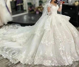 Long Sleeves Princess lace Wedding Dresses