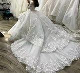 Long Sleeves Princess lace Wedding Dresses