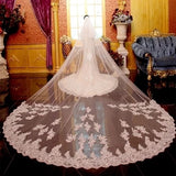 2 Layers Sequins Lace Cathedral Length Wedding Veil