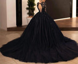 Black Gothic Wedding Dresses Ball Gown V Neck Wedding Dress